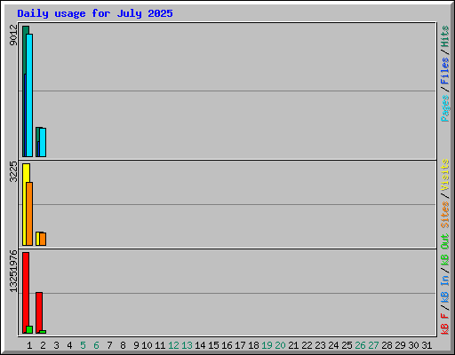 Daily usage for July 2025