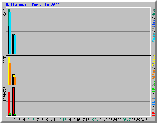 Daily usage for July 2025