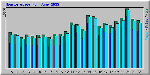 Hourly usage for June 2025