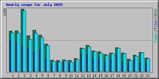 Hourly usage for July 2025